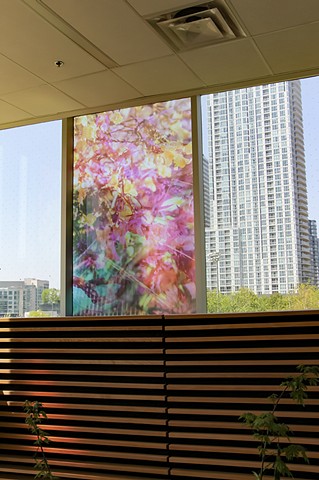 Natalie Hunter, The Bentway, Bathed In Strange Light, Toronto