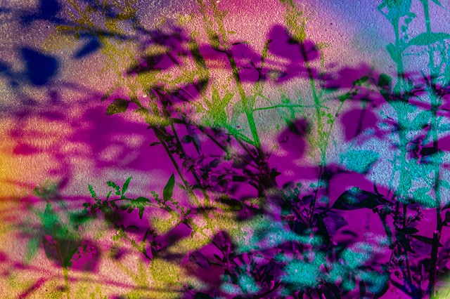 Bathed In Strange Light (Detail of Terrace Railing 35)