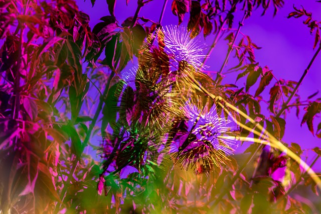 Bathed In Strange Light (Surface 21a)