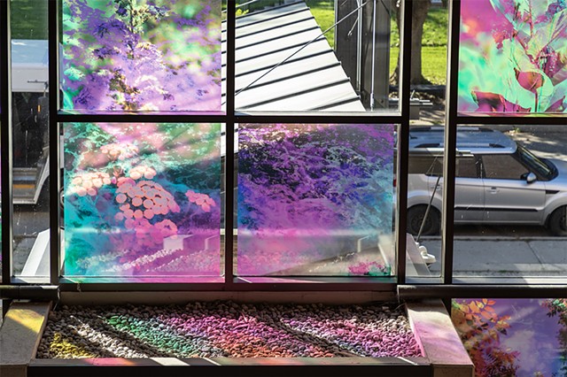 Natalie Hunter, You might as well try and hold the sun, Cambridge Galleries