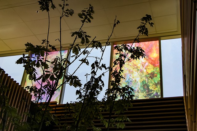 Natalie Hunter, The Bentway, Bathed In Strange Light, Toronto