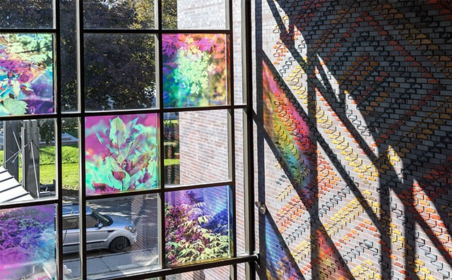 Natalie Hunter, You might as well try and hold the sun, Cambridge Galleries