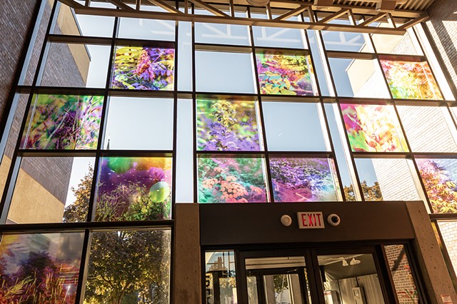 Natalie Hunter, You might as well try and hold the sun, Cambridge Galleries