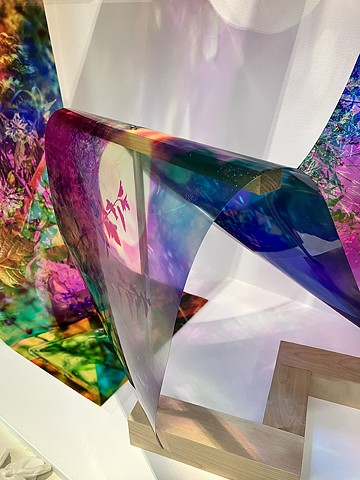 Natalie Hunter, You might as well try and hold the sun, Cambridge Galleries