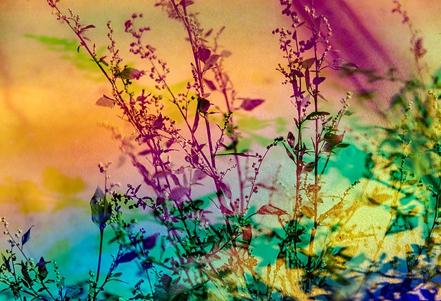 Bathed In Strange Light (prints) 
