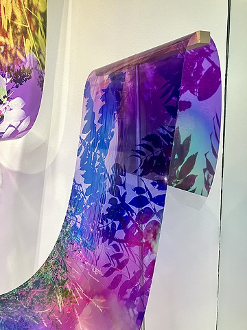 Natalie Hunter, You might as well try and hold the sun, Cambridge Galleries