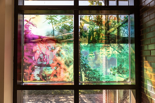 Natalie Hunter, You might as well try and hold the sun, Cambridge Galleries