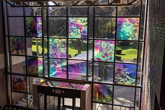 Natalie Hunter, You might as well try and hold the sun, Cambridge Galleries