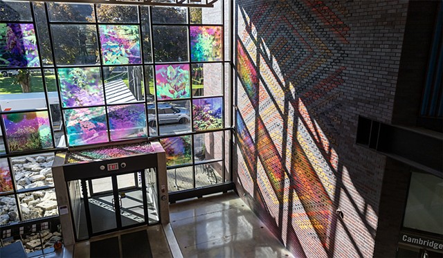 Natalie Hunter, You might as well try and hold the sun, Cambridge Galleries