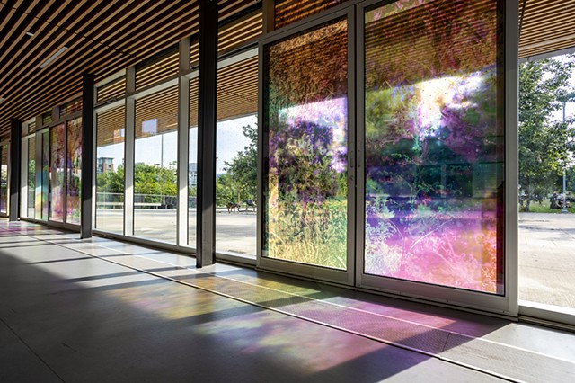 Natalie Hunter, The Bentway, Bathed In Strange Light, Toronto