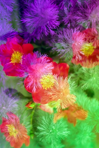 Crystal Garden, Artemesia Rose Silver Mound