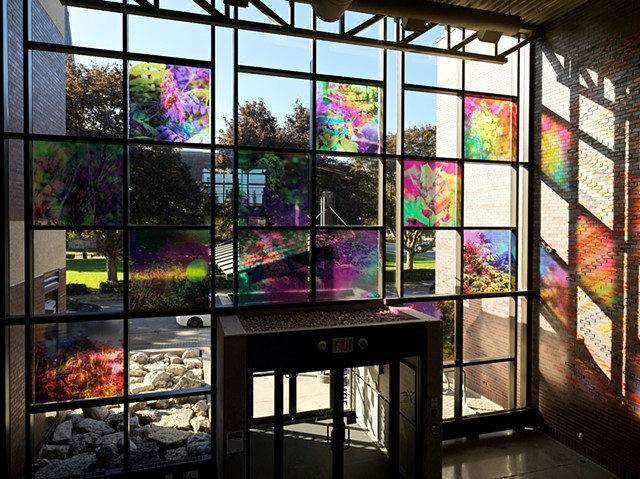 Natalie Hunter, You might as well try and hold the sun, Cambridge Galleries