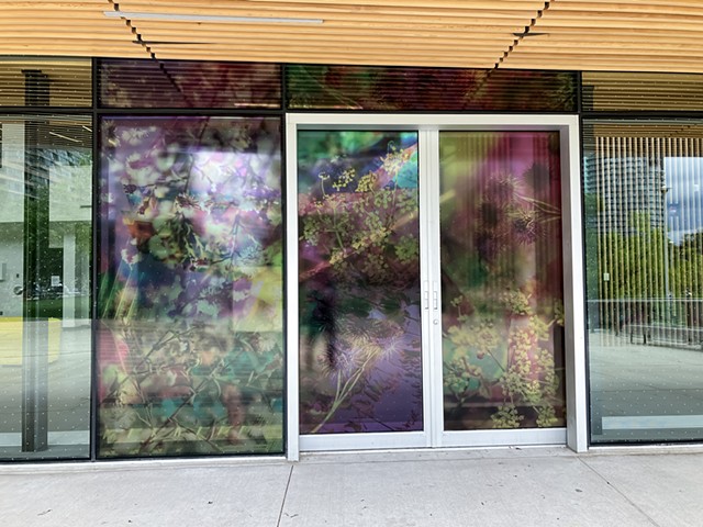 Natalie Hunter, The Bentway, Bathed In Strange Light, Toronto