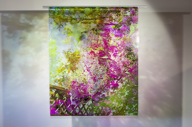 Crystal Garden, Lilac Field 01