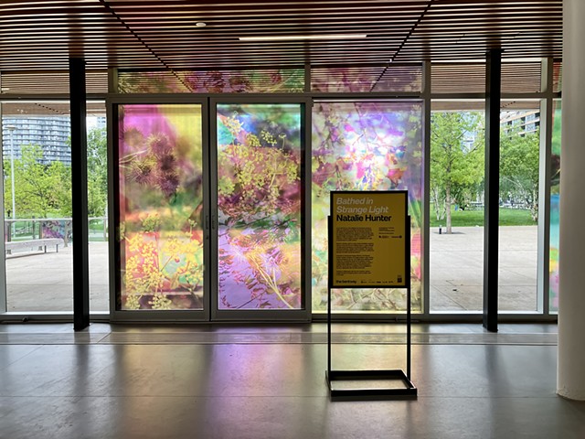 Natalie Hunter, The Bentway, Bathed In Strange Light, Toronto