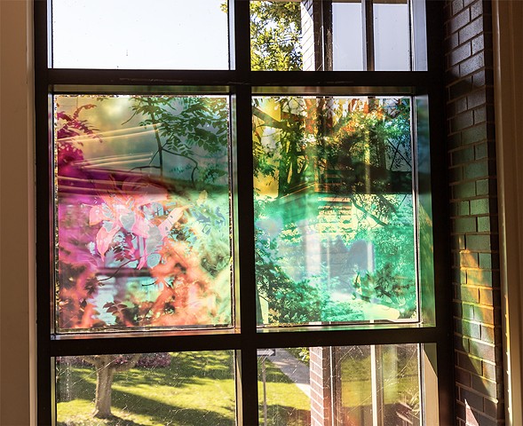 Natalie Hunter, You might as well try and hold the sun, Cambridge Galleries