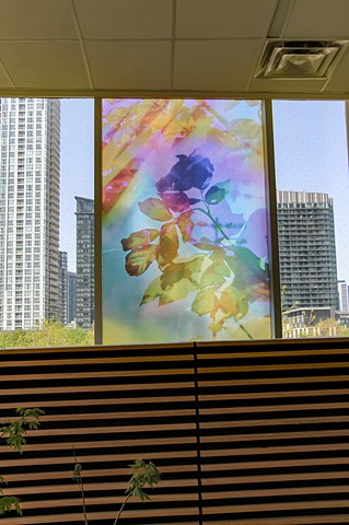 Natalie Hunter, The Bentway, Bathed In Strange Light, Toronto