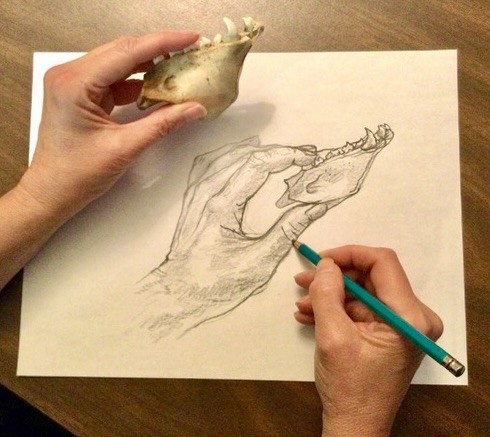 The Drawing Circle Workshop