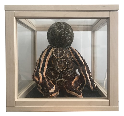 Limes, Beans, Kiwis, & Sweet Potatoes