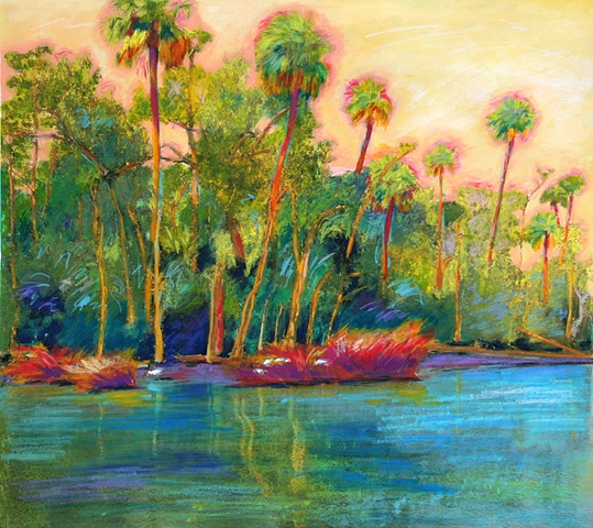 Palm landscapes, Florida Gulfcoast Tropical 