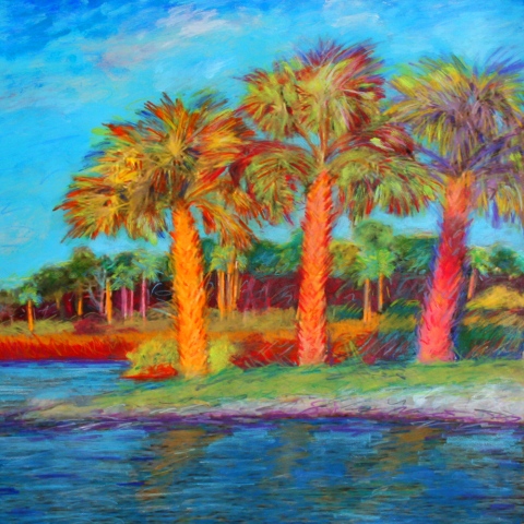 Palm images landscapes coastal Florida