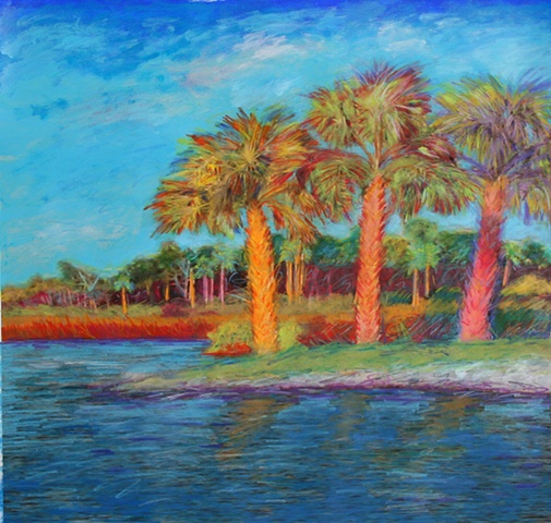 Palm landscapes Wild Florida Gulfcoast
