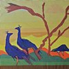 "Peacocks in the field"