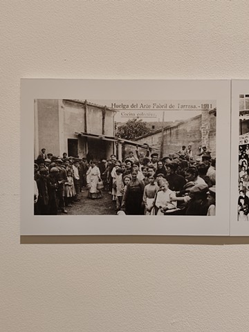 CO_LLAPSE I: fight and sick resistance