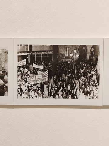 CO_LLAPSE I: fight and sick resistance