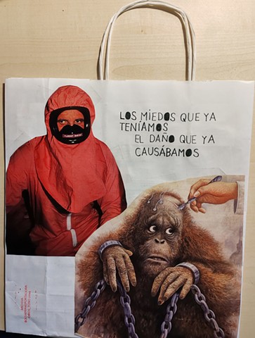 BLOG entry: zinebags