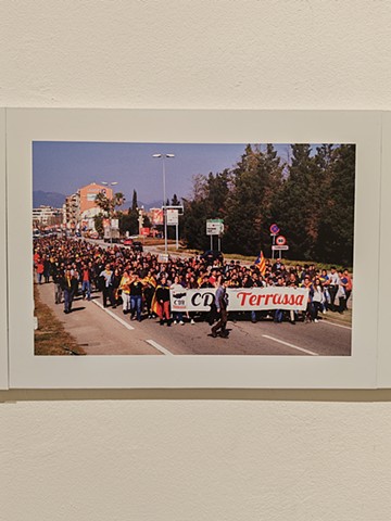 CO_LLAPSE I: fight and sick resistance