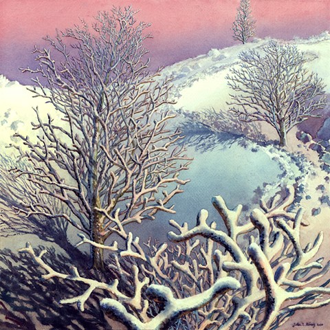 Seasonal tree watercolor by John Z. Wang jwthearchistudio.com