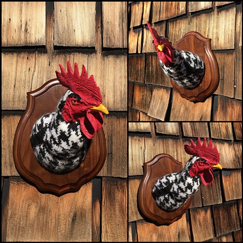 Sweaty Rooster No. 10
