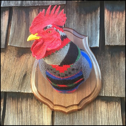 Sweaty Rooster No. 13