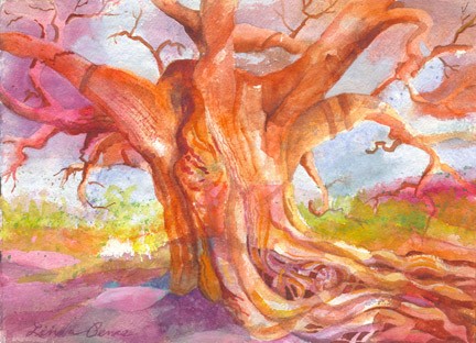 Baobab for Roma