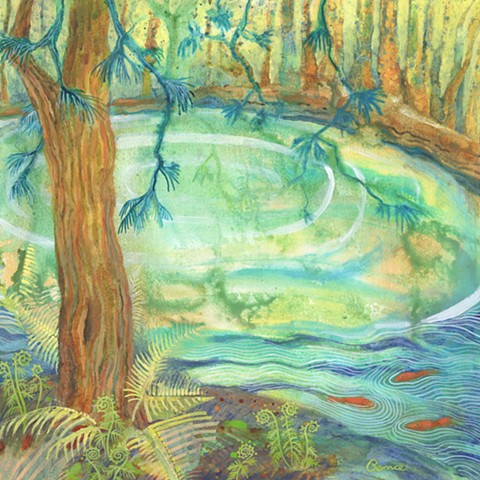 Revealed Spring