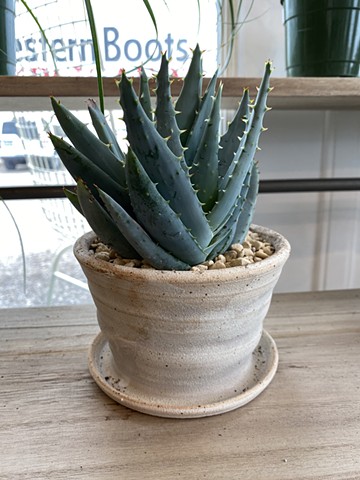 Plant Pot with attached drain plate for sale at Wildflowers Boutique Corpus Christi