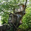 Tree House