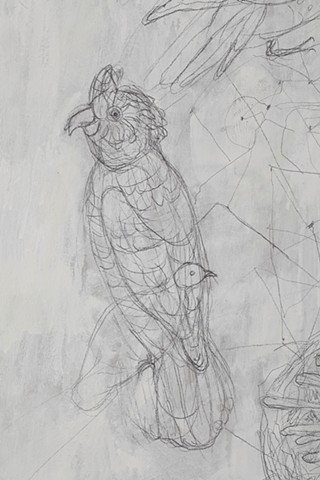 passenger pigeon, glaucous macaw, carolina parakeets,Ivory -billed woodpecker