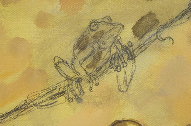 Ranas from the Rainforest (detail)