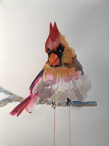 Non Binary Cardinal
