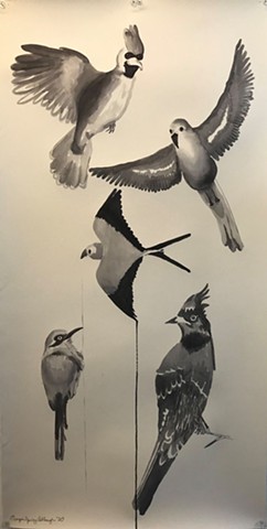 Birds 1