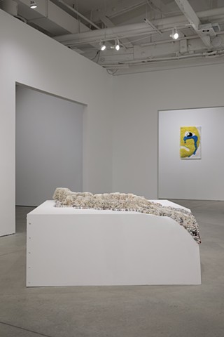 Installation view of Different Land, Different Sea