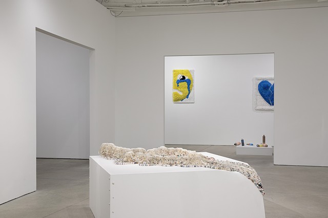 Installation view of Different Land, Different Sea