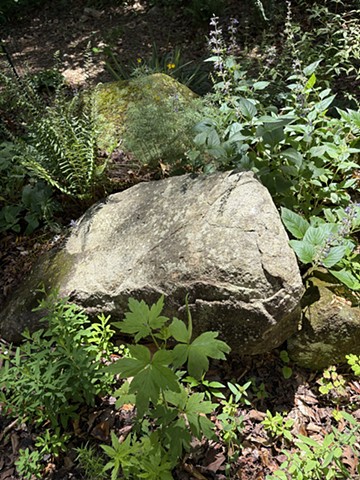 NC Piedmont Garden 25-26