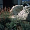 Boulder Police Department commemorative garden