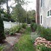 Newton, MA, residence after planting