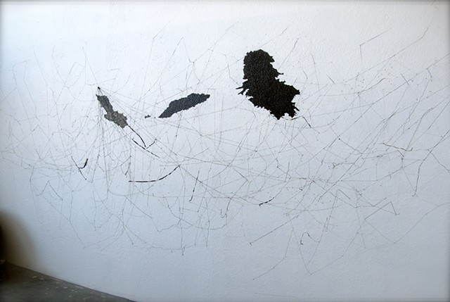 Dimitra Skandali, San Francisco Art Institute, Contemporary Art, seaweed, sea grass, San Francisco art, Pacific Ocean, Aegean Sea, Alyki, Paros