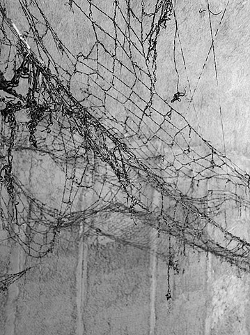 Dimitra Skandali, Contemporary Art, Aegean Sea, Paros, Greek Art, San Francisco art, seaweed, Santorini, Alexa Kusber, 1st International Santorini Biennial
