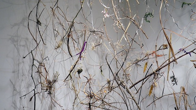 Dimitra Skandali, Site specific installation, natural materials, branches, found objects, Lucid Art Foundation, Inverness, Point Reyes Station, Gallery Route One